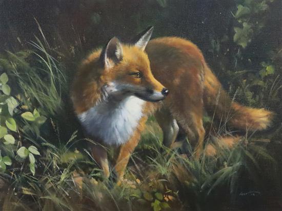 § Frank Wootton (1911-1998) The Fox 16 x 21in.